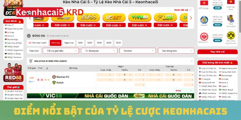 Điểm nổi bật của tỷ lệ cược Keonhacai5